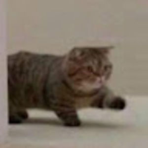 Meet your Posher, Ethan